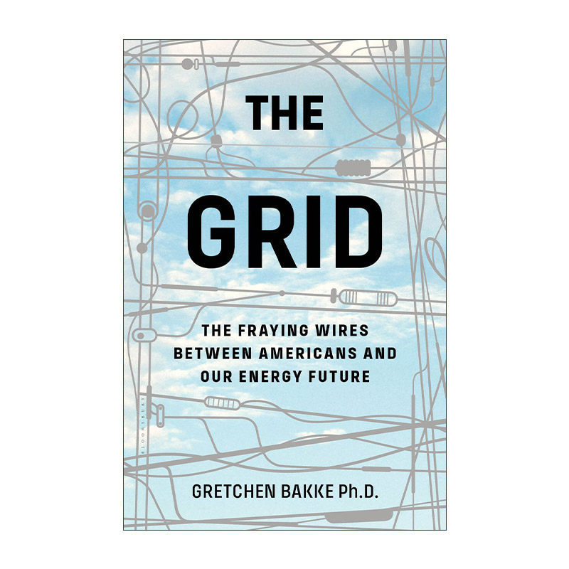 The Grid 电网 美国和能源未来之间的磨损电线 格雷琴·巴克 比尔盖茨荐书进口原版英文书籍