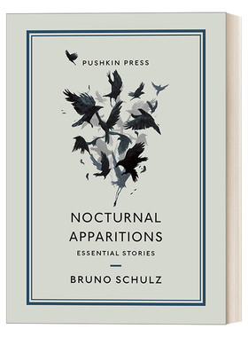 Nocturnal Reveries 黑夜魂灵 布鲁诺·舒尔茨短篇小说集进口英文原版书籍