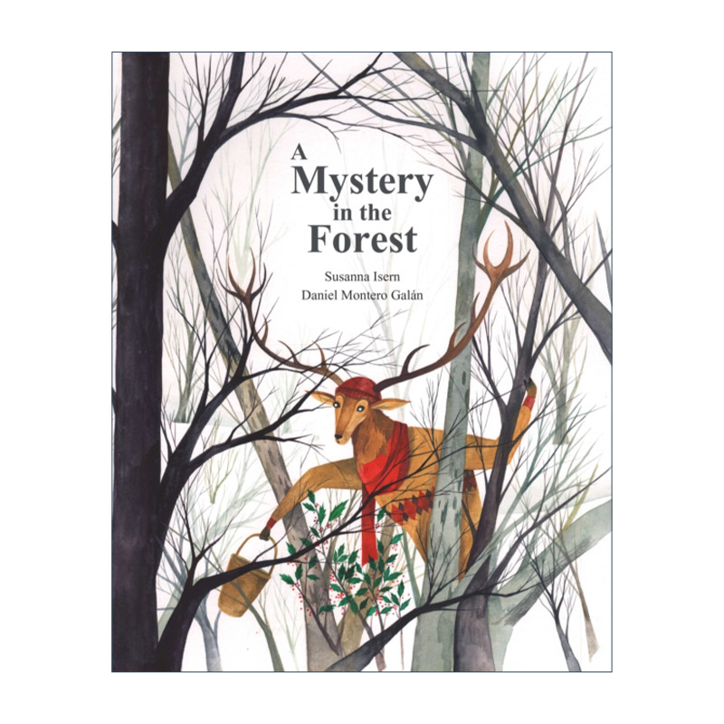 英文原版 A Mystery in the Forest 森林之