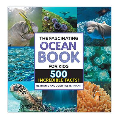 英文原版 The Fascinating Ocean Book for Kids 迷人的儿童海洋书 全彩插图自然科普百科 英文版 进口英语原版书籍
