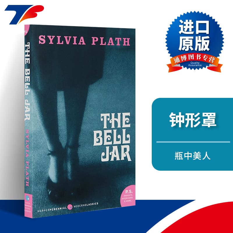 英文原版小说瓶中美人