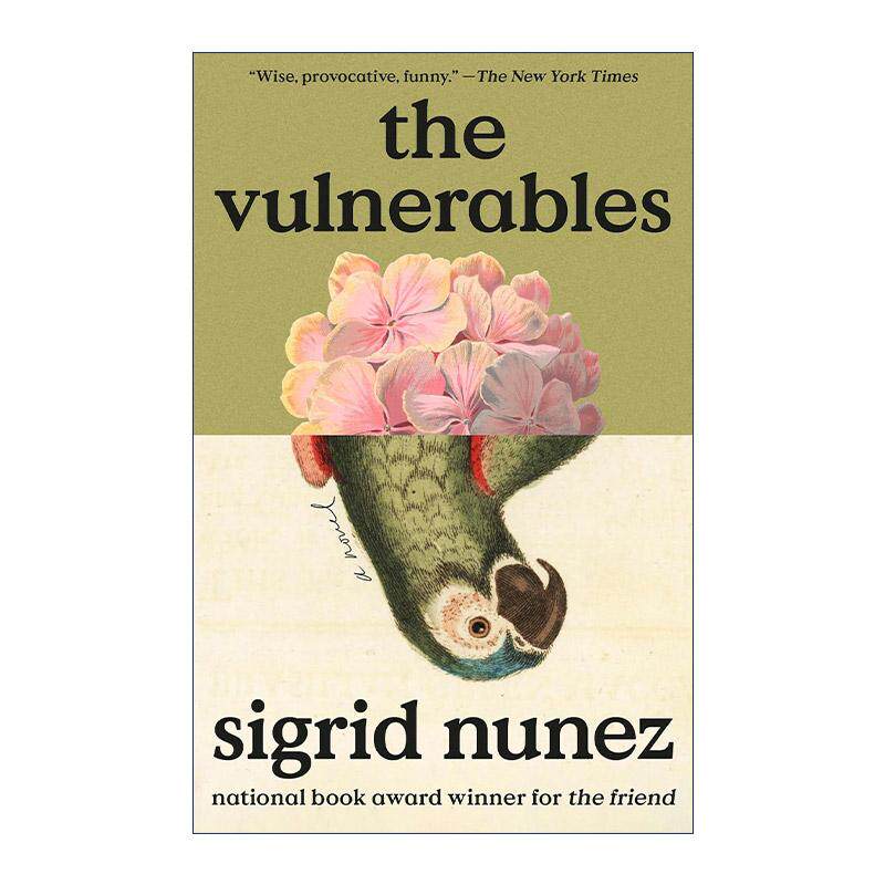 英文原版 The Vulnerables 脆弱者 我的朋友阿波罗作者西格丽德·努涅斯 女性小说 英文版 进口英语原版书籍