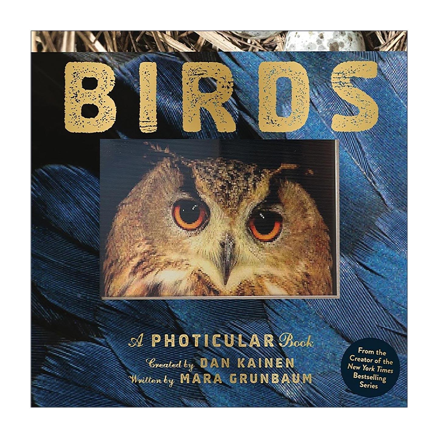 英文原版 Birds A Photicular Book 光与影视觉书系列 鸟类 3D立体动画书 英文版 进口英语原版书籍