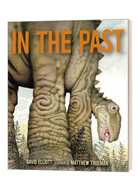 In the Past 史前动物 3-7岁儿童恐龙主题诗歌精装绘本 David Elliott进口原版英文书籍
