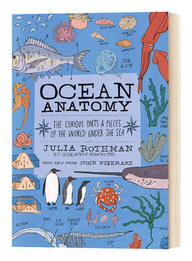 Ocean Anatomy 海洋解剖学 英文原版书 自然科普读物 彩色插画图书 Julia Rothman 进口原版英语书籍 Storey Publishing LLC