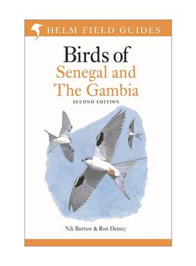 英文原版 Field Guide to Birds of Senegal and The Gambia 塞内冈比亚鸟类野外指南 英文版 进口英语原版书籍