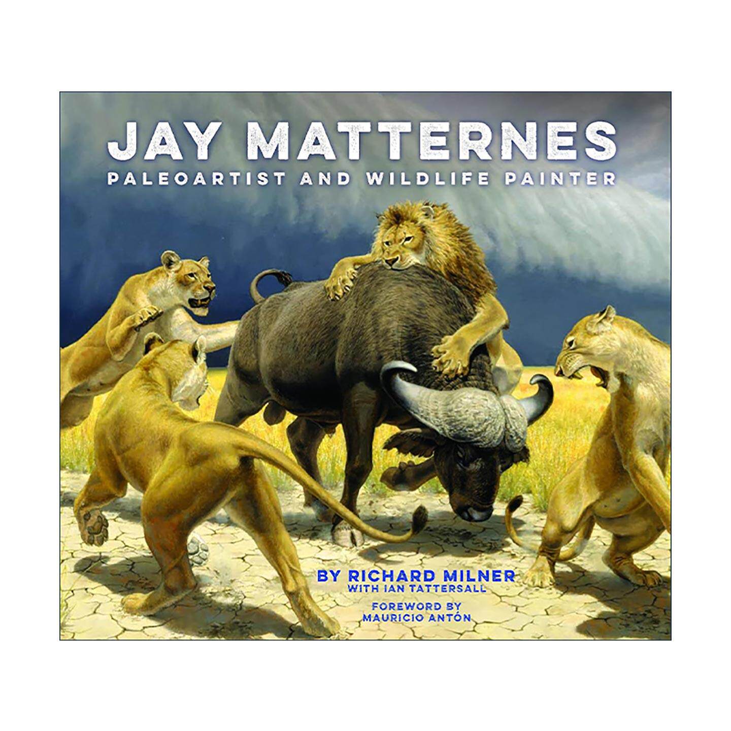 英文原版 Jay Matternes Paleoartist and Wildlife Painter 杰伊·马特内斯 古生物艺术家和野生动物画家 艺术画册精装 英文版
