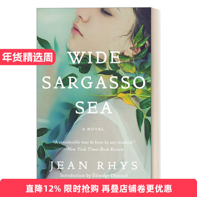 Wide Sargasso Sea 藻海无边 梦回藻海进口原版英文书籍