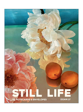 英文原版 Still Life Notecards 20张记事卡和信封 Doan Ly摄影作品卡 英文版 进口英语原版