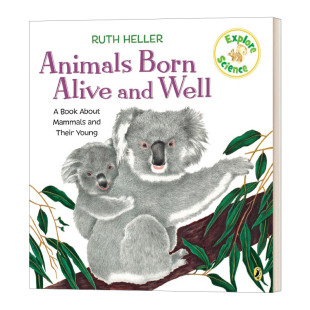 Born Well Explore Animals 英文版 书籍 英文原版 科普入门绘本 Alive Science 廖彩杏推荐 考拉熊 And 进口英语原版 书单