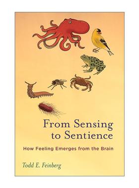 英文原版 From Sensing to Sentience The MIT Press 从感觉到感知 感觉如何从大脑中产生 认知神经科学 Todd E. Feinberg 英文版