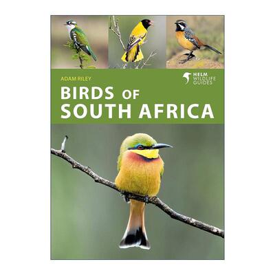 英文原版 Birds of South Africa 南非鸟类图鉴 英文版 进口英语原版书籍