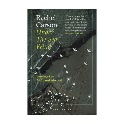 Under the Sea-Wind 海风下 蕾切尔·卡森海洋三部曲 玛格丽特阿特伍德作序进口原版英文书籍