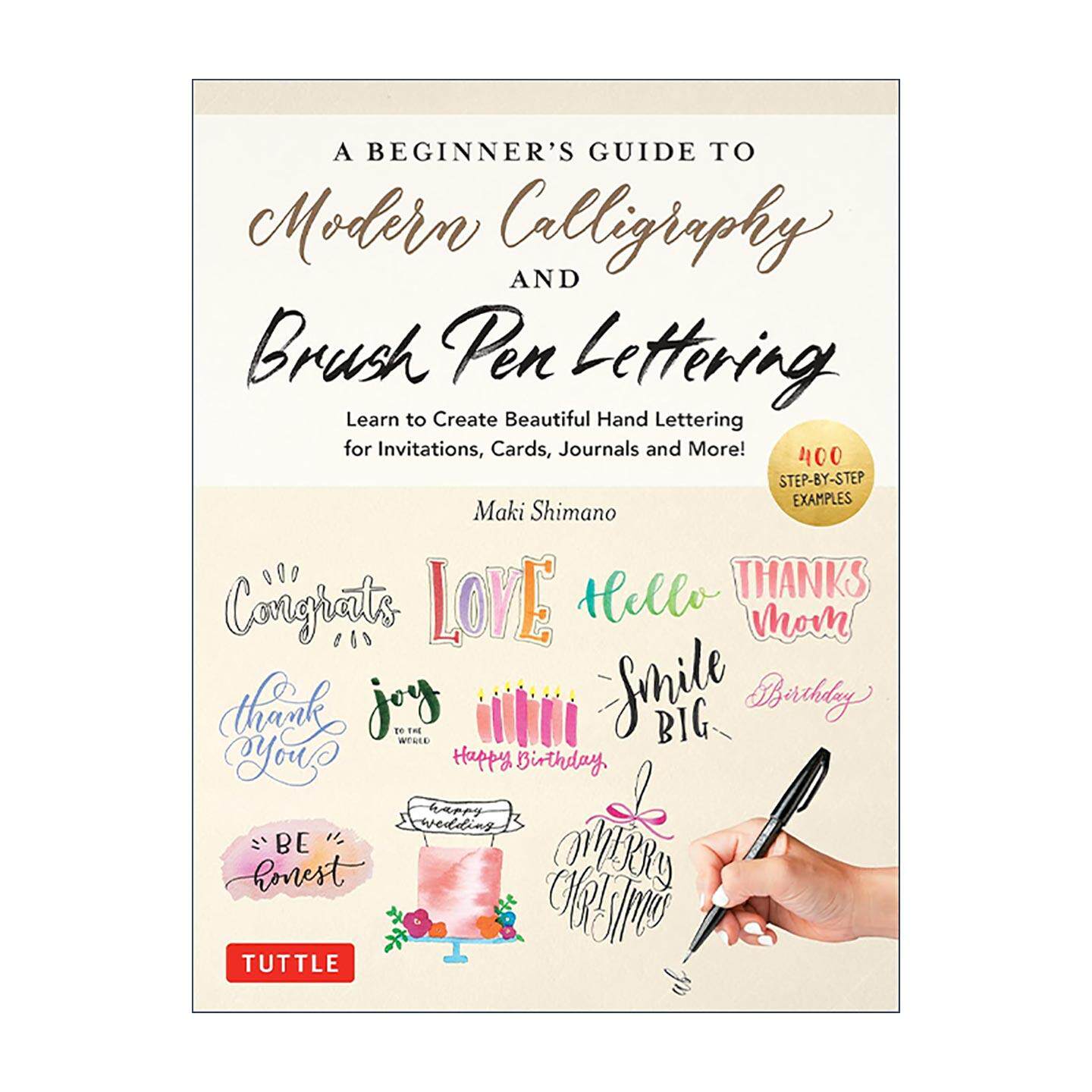 英文原版 A Beginner's Guide to Modern Calligraphy & Brush Pen Lettering 现代书法和毛笔字体初学者指南 进口英语原版书籍