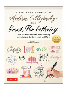 英文原版 A Beginner's Guide to Modern Calligraphy & Brush Pen Lettering 现代书法和毛笔字体初学者指南 进口英语原版书籍