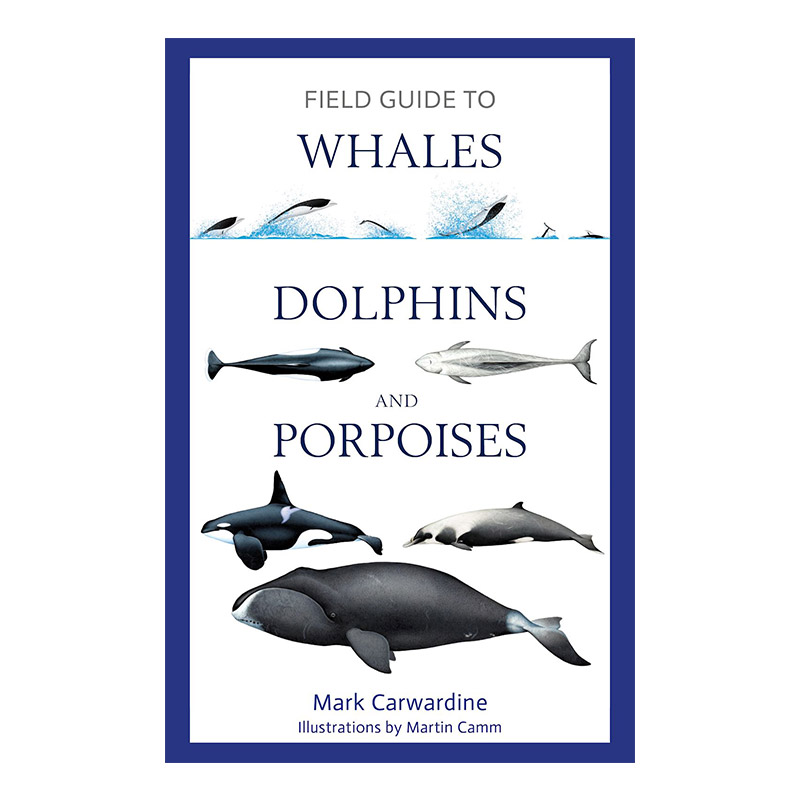 英文原版 Field Guide to Whales Dolphins and Porpoises 鲸鱼 海豚 鼠海豚野外指南 英文版 进口英语原版书籍
