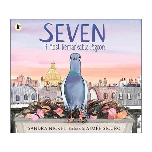 英文原版 Seven A Most Remarkable Pigeon 七号 一只非凡的鸽子 儿童故事绘本 英文版 进口英语原版书籍