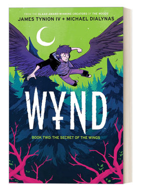 Wynd Book Two：Secret of the Wings  王子的飞行2  奇幻冒险漫画进口原版英文书籍
