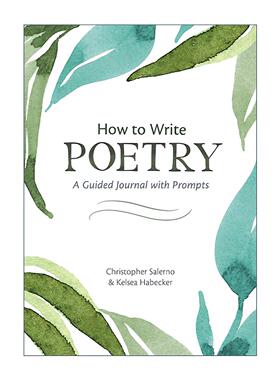 英文原版 How to Write Poetry 如何写诗 有提示的指导日志 写作指南 Christopher Salerno 英文版 进口英语原版书籍