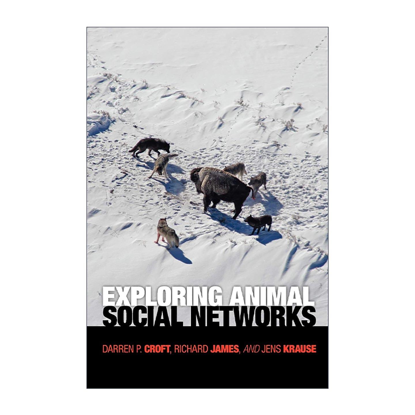 英文原版 Exploring Animal Social Networks 探索动物社会网络 普林斯顿 动物行为学指南 英文版 进口英语原版书籍