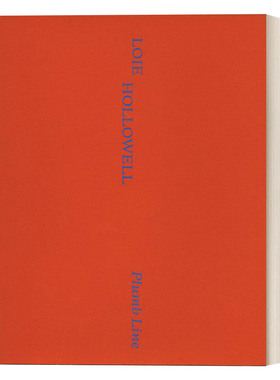 英文原版 Loie Hollowell 美国女艺术家洛伊·霍洛韦尔作品集 铅垂线系列 精装抽象绘画艺术画册 二次孕期观察记录 英文版 进口书