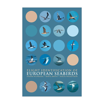 英文原版 Flight Identification of European Seabirds 欧洲海鸟飞行辨识图鉴 精装 英文版 进口英语原版书籍