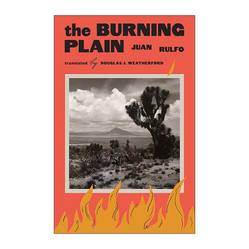 英文原版 The Burning Plain燃烧的平原 Juan Rulfo 短篇 拉美新小说先驱 英文版 进口英语原版书籍