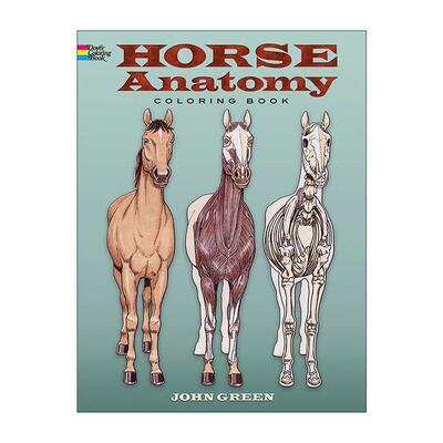 英文原版 Horse Anatomy Coloring Book 儿童马类解剖涂色着色书 动物科普益智游戏活动书 英文版 进口英语原版书籍