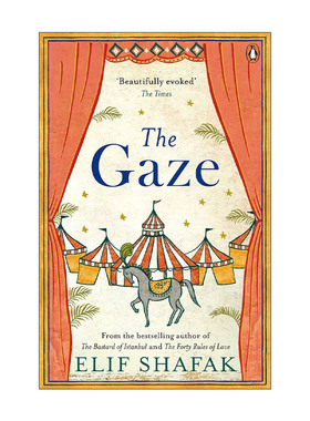 英文原版 The Gaze 凝视 艾丽芙·沙法克小说 英文版 进口英语原版书籍