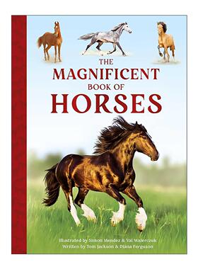 英文原版 The Magnificent Book of Horses 马 科普大全 精装全彩插图 英文版 进口英语原版书籍