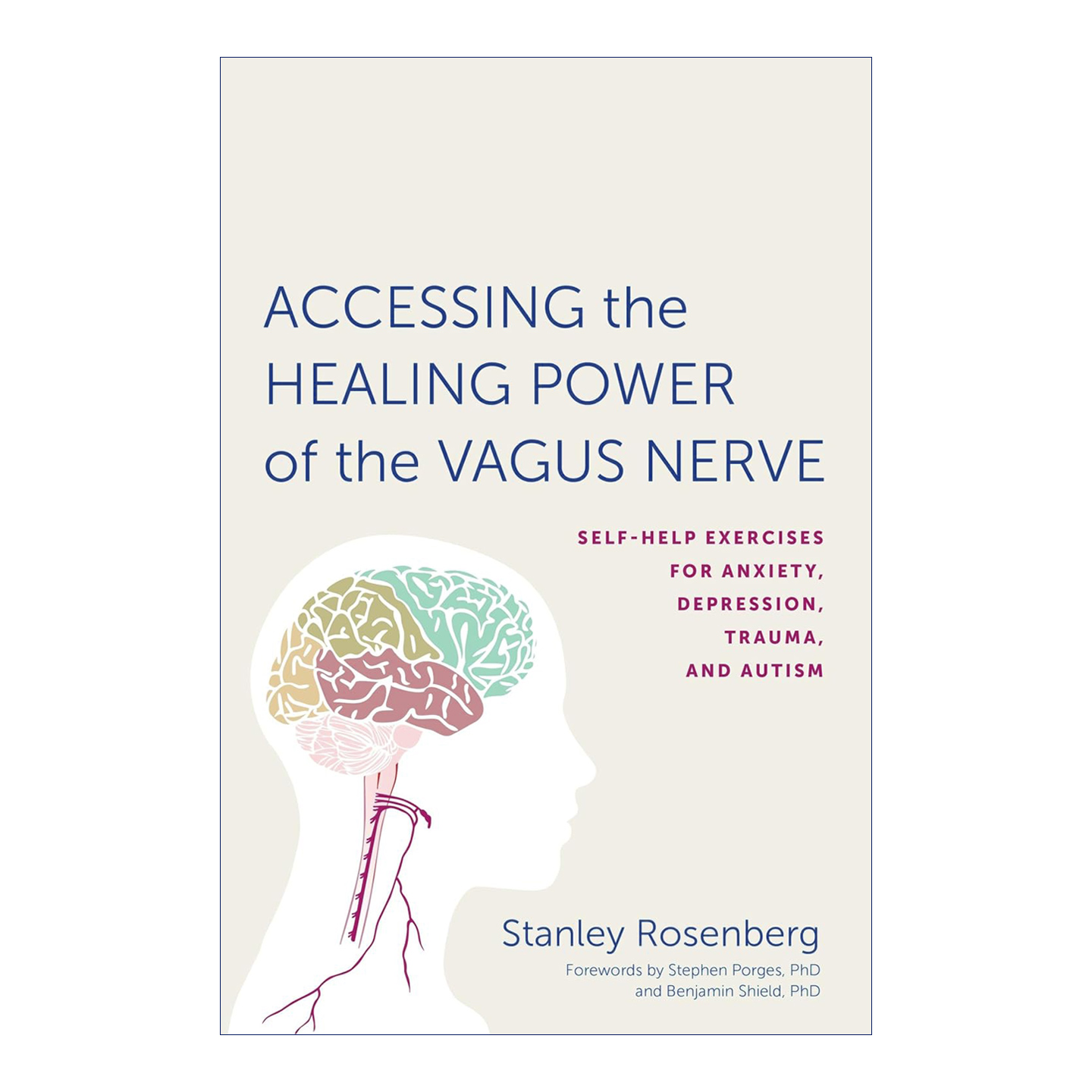 英文原版 Accessing the Healing Power of the Vagus Nerve 探索迷走神经的治愈能力 英文版 进口英语原版书籍