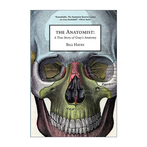英文原版 The Anatomist 解剖学家 Gray's Anatomy格雷氏解剖学的真实故事 传记 Bill Hayes 英文版 进口英语原版书籍