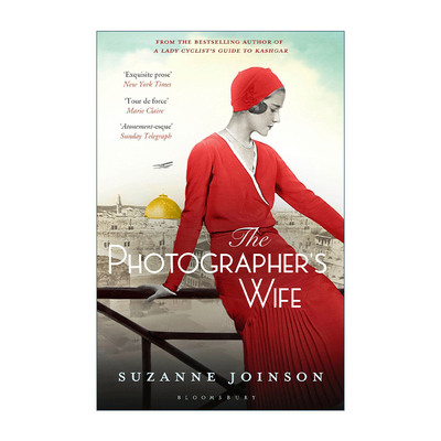 The Photographer's Wife 摄影师的妻子 苏珊·乔伊森畅销小说进口原版英文书籍