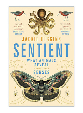 英文原版 Sentient 感官奇迹 跨越物种的人类感知冒险之旅 英文版 进口英语原版书籍