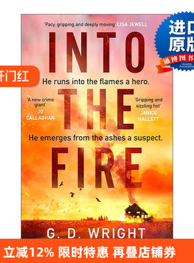 英文原版 Into the Fire 火海危机 G. D. Wright 畅销犯罪悬疑小说 英文版 进口英语原版书籍