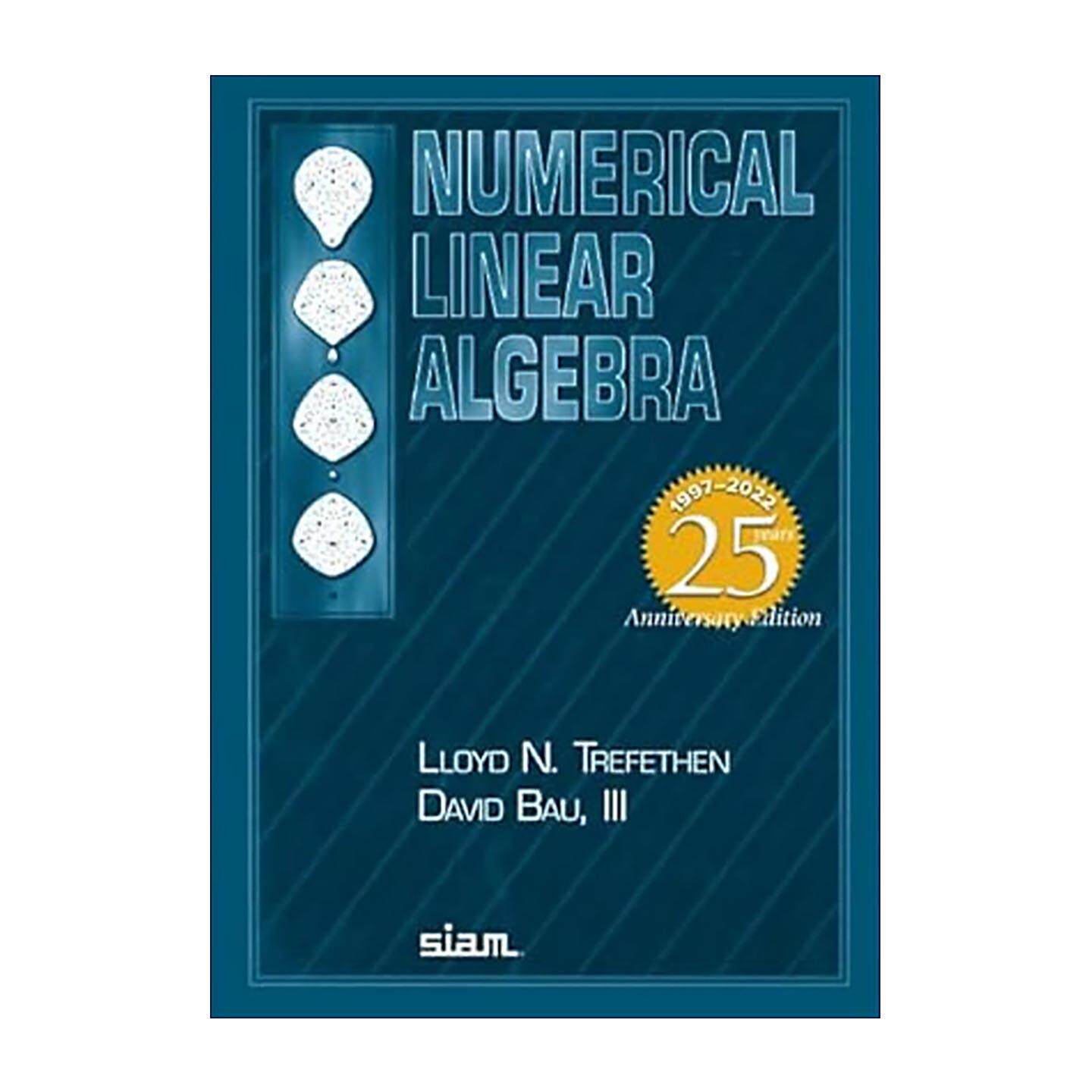 英文原版 Numerical Linear Algebra 数值线性代数 Lloyd N. Trefethen  David Bau 英文版 进口英语原版书籍