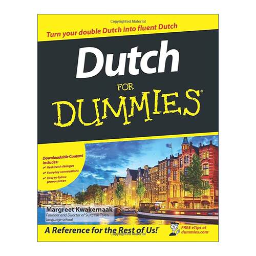 原版 Dutch for Dummies 荷兰语入门 达人迷 进口原版书籍