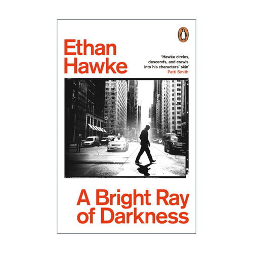 A Bright Ray of Darkness 黑暗之光 伊桑·霍克半自传小说进口原版英文书籍
