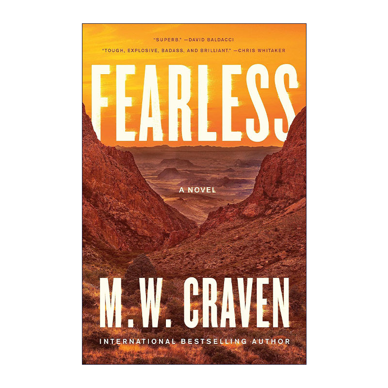 英文原版 Fearless 无畏 精装 泰晤士报畅销书单 惊悚犯罪小说 英文版 进口英语原版书籍