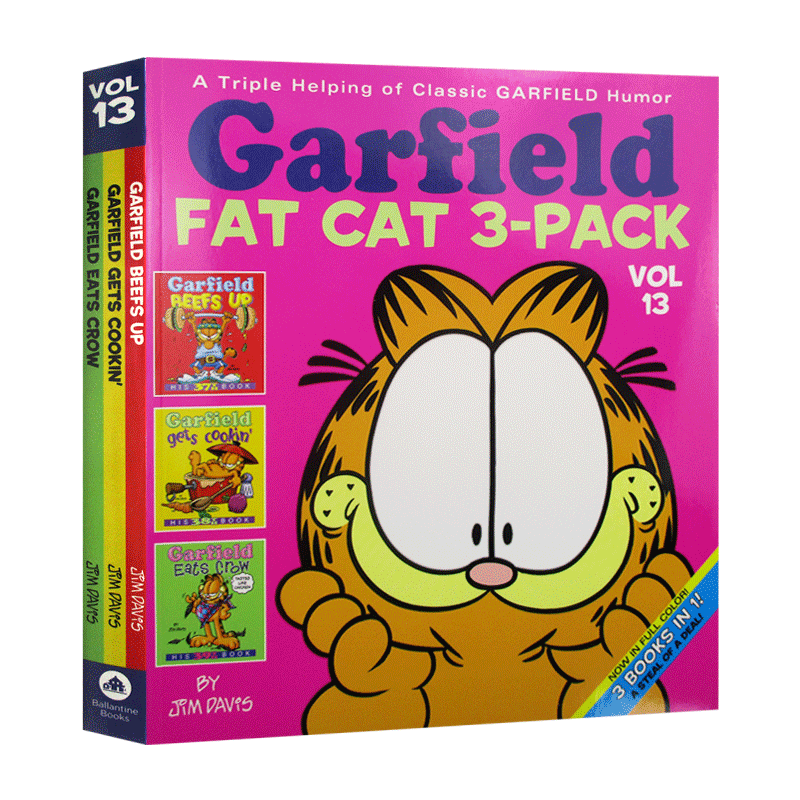 Garfield Fat Cat 3-Pack #13 加菲猫漫画3本套装13进口原版英文书籍