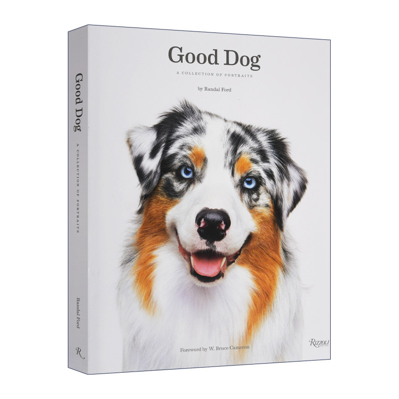 Good Dog 好狗狗摄影 精装 一条狗的使命作者前言进口原版英文书籍