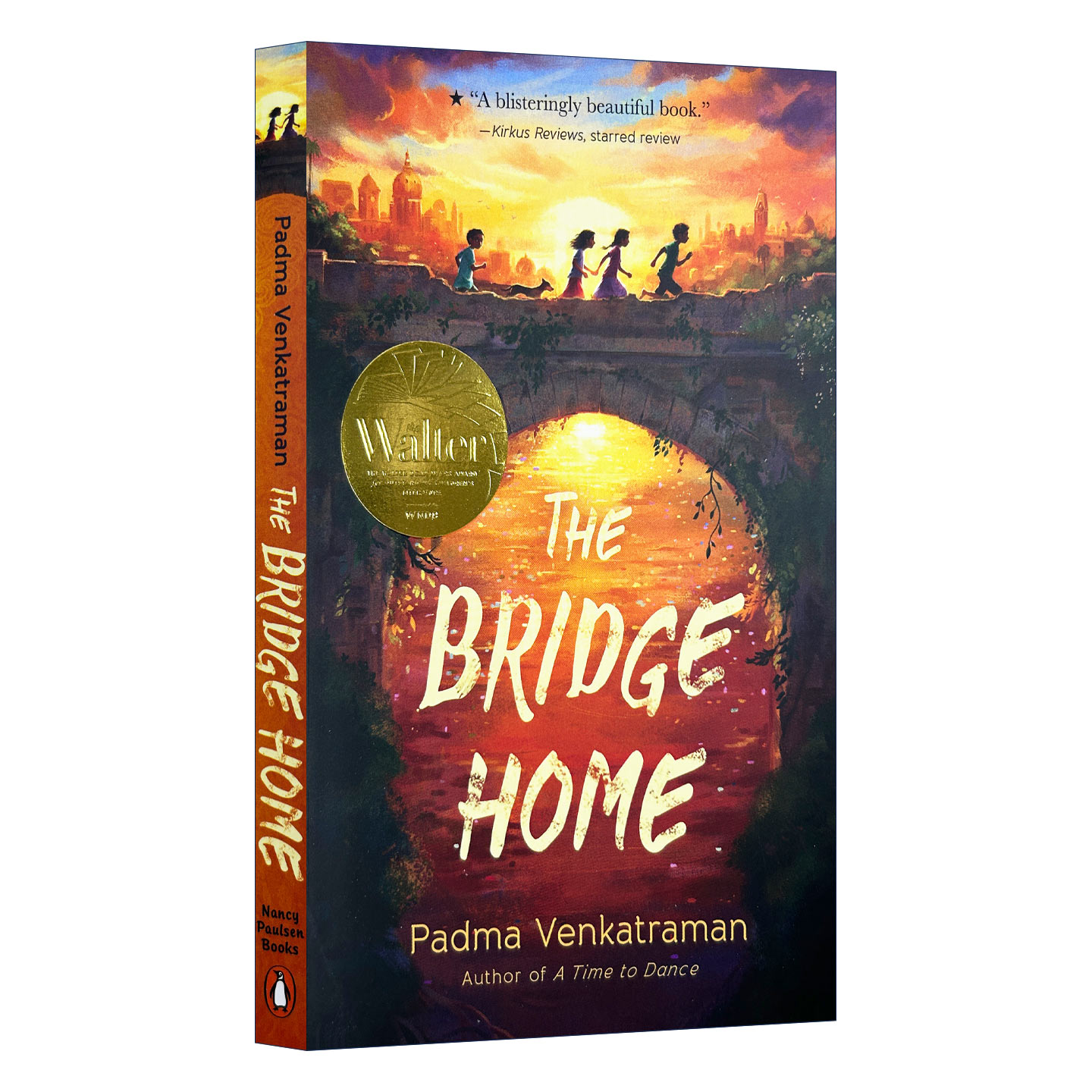 The Bridge Home 回家的桥 ALA童书大奖 Padma Venkatraman进口原版英文书籍