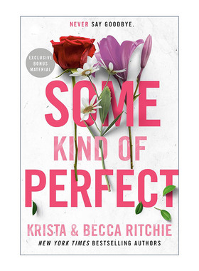 英文原版 Some Kind of Perfect 某种完美 浪漫小说 Becca Ritchie 英文版 进口英语原版书籍