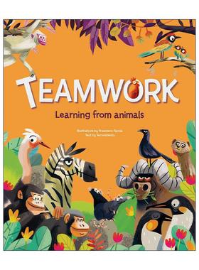 英文原版 Teamwork 团结就是力量 动物王国的团队合作 儿童精装绘本 英文版 进口英语原版书籍