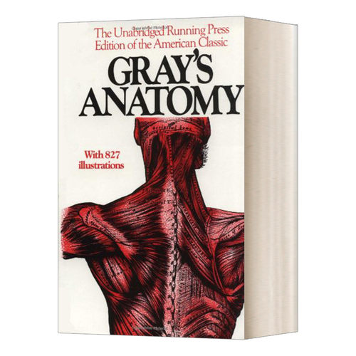 Gray's Anatomy  格氏解剖学进口原版英文书籍