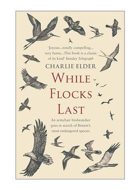 英文原版 While Flocks Last 趁鸟群仍在 守护鸟类的当下行动 Charlie Elder 自然环保书籍 英文版 进口英语原版书籍