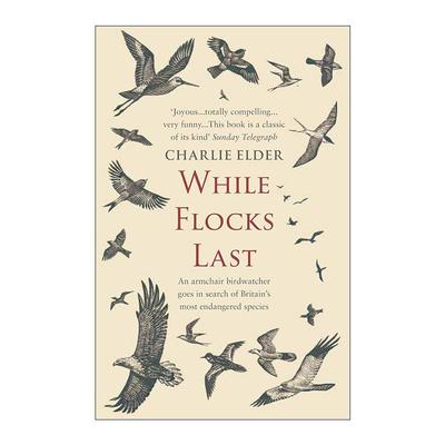英文原版 While Flocks Last 趁鸟群仍在 守护鸟类的当下行动 Charlie Elder 自然环保书籍 英文版 进口英语原版书籍