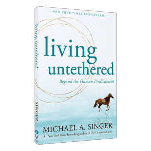Living Untethered 不受束缚的生活 迈克尔辛格 Michael Singer进口英文原版书籍