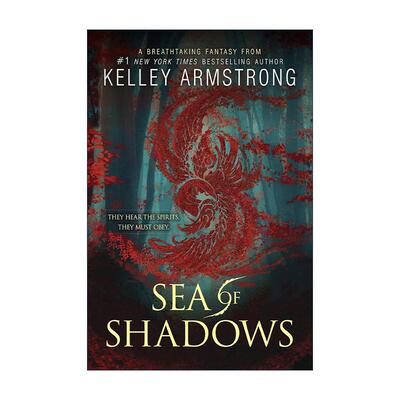 英文原版 Sea of Shadows Age of Legends Trilogy 01 传奇时代三部曲1 暗影之海 青少年恐怖小说 Darkest Powers系列作者