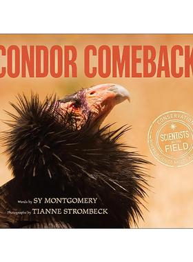 英文原版 Condor Comeback 秃鹫 动物纪实科普 英文版 进口英语原版书籍